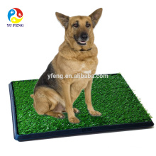 Pet Zoom Pet Park -- potty patch